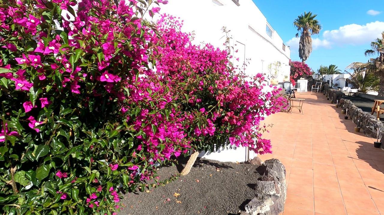 La Asomada Rosa Eden公寓 外观 照片